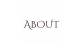 ABOUT
