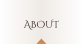 ABOUT